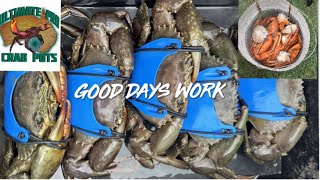 PART 2 MY TIPS TRICKS amp SECRETS HOW TO CATCH BULK MUDDIES  HOW TO CLEAN amp COOK MUDDIES [upl. by Lsiel]