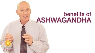 Benefits of Ashwagandha Root  John Douillards LifeSpa [upl. by Ilarrold]