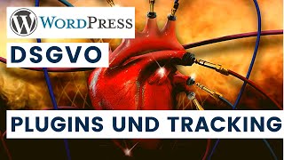 So machst du Wordpress DSGVO konform  Tutorial Teil 2 Plugins [upl. by Herod]