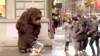 Bear in NYC Prank [upl. by Rosita]