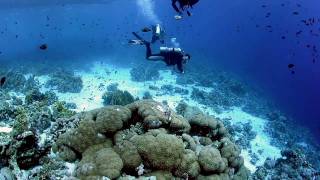 Diving Sharm el Sheik in HD [upl. by Sibley]