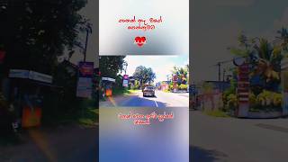 Magen sene infobellshindirhymes ada couple srilanka love ceylonlk musicstyle musicgenre [upl. by Donal338]