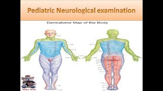 Pediatric Neurological examination [upl. by Anaiuq]