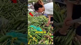 Why Japanese Farmers Throw Out Green Veggies 😳 [upl. by Rehpotsirk]