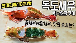 독도새우 배에서 방금 가져온 꽃새우닭새우 소쿠리채 먹방 리뷰 Morotoge shrimp Spiny lebbeid shrimp review [upl. by Dermot]