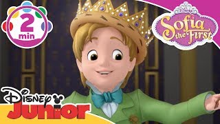 Sofia The First  King For A Day  Be Your Own King  Song  Disney Junior UK [upl. by Jandel]