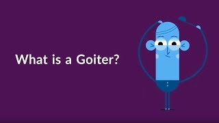 What is a Goiter Enlarged Thyroid [upl. by Sella]