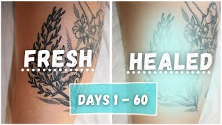 Fresh vs Healed Tattoo  Day to Day Healing Process [upl. by Hairym697]