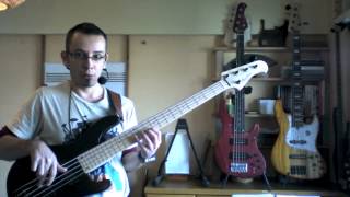 Bacchus Basses Review Bacchus Craft Series vs DX handmade Series [upl. by Nonregla]