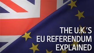 Brexit 101 The UKs EU Referendum Explained [upl. by Faludi]