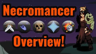 AQW Class Hall B  Necromancer Overview [upl. by Asela]