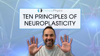 The Ten Principles Of Neuroplasticity Rehab  What you need to think about [upl. by Souza815]