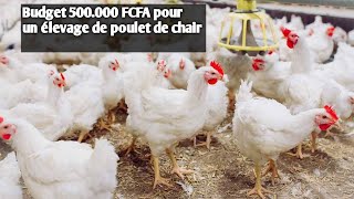 500000 FCFA pour commencer son élevage de poulet de chair [upl. by Sualokcin99]