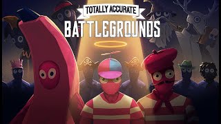 Tek Videoluk Oyunlar I Tottaly Accurate Battlegrounds bokgibi [upl. by Leontine]