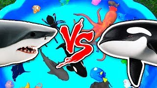 Sharks vs Animals – Learn Sea Animal and Wild Animal Names and Facts in Shark Video Water Battle [upl. by Karie]