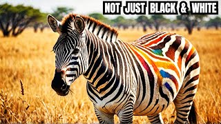 The REAL Reason Zebras Arent Just Black and White [upl. by Naejarual]