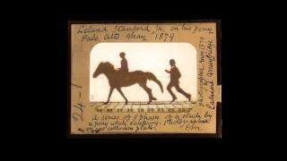 Eadweard Muybridge Leland Stanford Jr [upl. by Anniken]