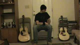 Taylor GS Mini vs Full Sized Alvarez Acoustic guitar [upl. by Rede363]