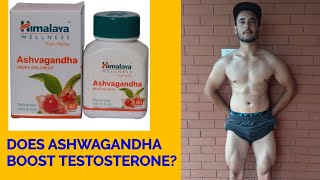 Does Ashwagandha Increase Testosterone Benefits Of Ashwagandha [upl. by Barstow132]