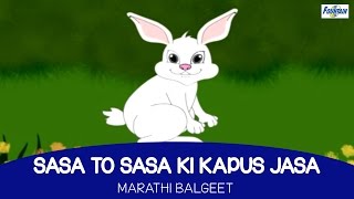 Sasa To Sasa Ki Kapus Jasa  Marathi Balgeet For Kids [upl. by Odlo]