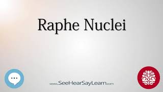 Raphe Nuclei Anatomy of the Brain SeeHearSayLearn 🔊 [upl. by Aenat384]