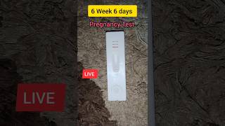 6 Week Pregnancy 🧐🫣pregnancy kit baby shorts [upl. by Chrystal885]