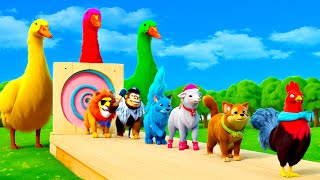 3 Giant Ducks Cartoon Hem Sheep Dog Fox Monkey Lion  Funny Animals Choose The Right Mystery Door [upl. by Narba]