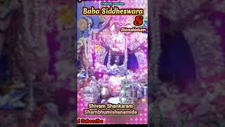 Shivashtakam  8 Haramsarpaharam Chitabh Viharam Baba Siddheswara  SNo  380 [upl. by Heyer]