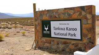 Day 20  Tankwa Karoo National Park [upl. by Anyrak]