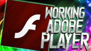 FIXED ADOBE FLASH PLAYER IN AQW GRIMOIRE BOT 2024  AQWorlds 2024 [upl. by Anol343]