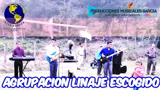 Agrupacion Linaje Escogido  Mix en Vivo [upl. by Katey]