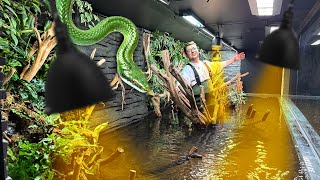 On installe la partie REPTILE dans l’aquarium de 14000L [upl. by Arriek]