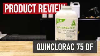 Quinclorac 75 DF Crabgrass Killer Product Review [upl. by Chauncey]