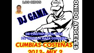 CUMBIAS COSTEÑAS MIX 2013 NUEVO [upl. by Eresed27]