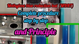 Methylene blue reduction test  MBRT principle and procedure  How to check quantity of milk [upl. by Goldshlag336]