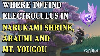 EN Where To Find Electroculus In Narukami Shrine Araumi and Mt Yougou Genshin Impact Guide [upl. by Croom607]