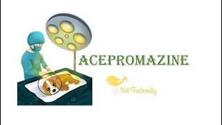 Acepromazine  Phenothiazine  Veterinary Anesthesia Part 7  BCSE subscribe viral trending like [upl. by Igiul]