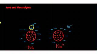 Ions and Electrolytes [upl. by Eylatan]