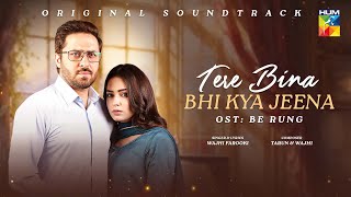 Tere Bina Bhi Kya Jeena  Be Rung OST ✩₊˚⋆  Singer  Wajhi Farooki   HUM TV [upl. by Rainer]