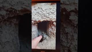 Basement waterproofing deteriorating crumbling block foundation walls leaky basement [upl. by Annaear]