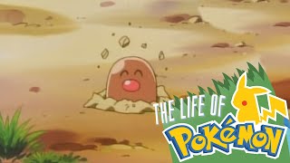 The Life of Pokemon Diglett [upl. by Nixon]