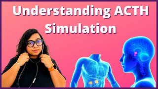 ACTH Stimulation Test Explained  Procedure Results and Risks Explained [upl. by Crain461]