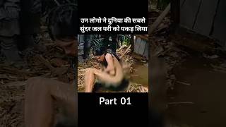 जल परी😱 shorts natiacomedy viralmovie comedy flashvideo trending youtubeshorts shortvideo [upl. by Issie]