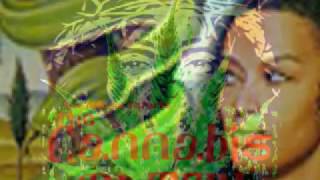 Rastafari Studies  Ras Iadonis the CANNABIS MatriX amp the Gateway quotdrugquot part 3 Holy Sacrement [upl. by Loseff185]