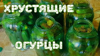 Маринованные огурцы на зиму  Консервация🥒🥒🥒 [upl. by Nnarual]