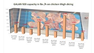 920 chicken thigh meat dicing [upl. by Moya514]