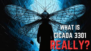 What actually Is The CICADA 3301 MYSTERY [upl. by Lavro]