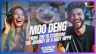 Moo Deng From Zoo to Stardom  The Journey of a Baby Hippo  Episode 1 [upl. by Utas108]