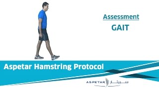 3 Assessment  GAIT WALKING [upl. by Lihka357]