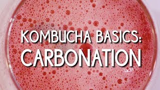 Kombucha Basics Carbonation [upl. by Slein935]